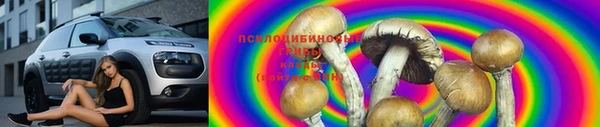 мдпв Коряжма