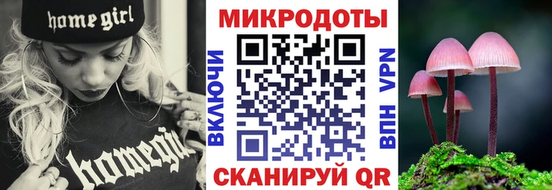 Купить где  Салават  Псилоцибиновые грибы Cubensis 